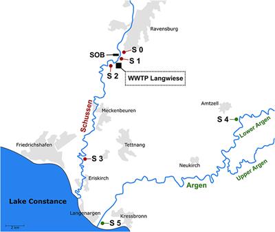 Impact of a Wastewater Treatment Plant Upgrade on Amphipods and Other Macroinvertebrates: Individual and Community Responses